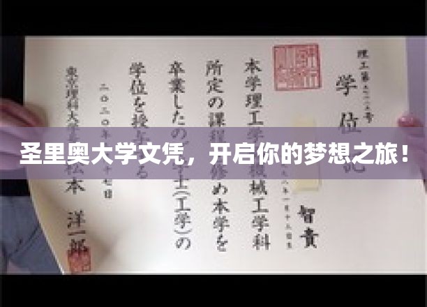 圣里奥荣耀，成就非凡梦想启航
