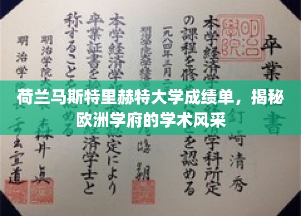 荷兰马斯特里赫特大学成绩单，展现欧洲学府的学术风采