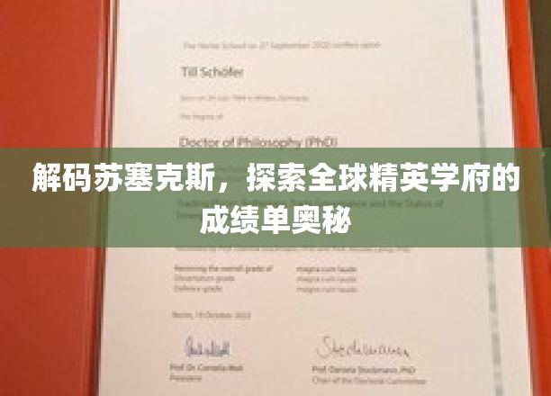 揭开苏塞克斯大学全球精英的学术成就之谜