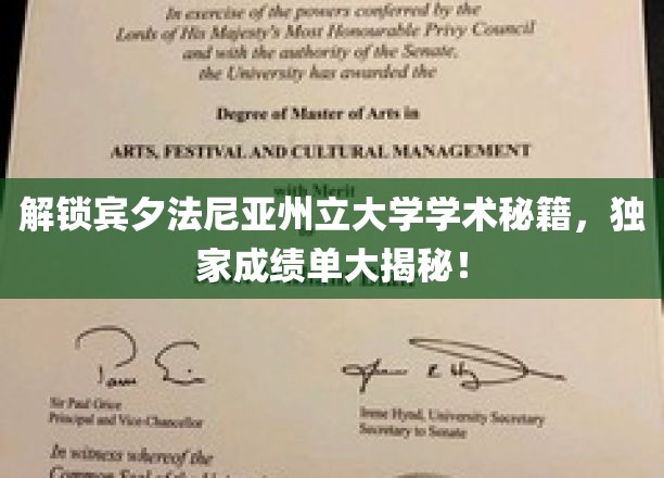 探索宾夕法尼亚州立大学学霸之路，揭秘高成绩背后的独门秘笈！