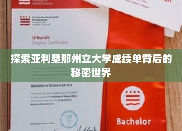 揭开亚利桑那州立大学成绩单的神秘面纱