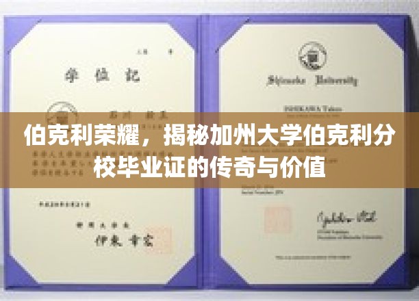 加州伯克利毕业证，传奇背后的价值与荣耀揭秘