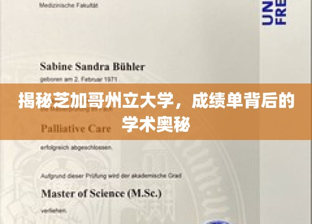 揭秘芝加哥州立大学，成绩单背后的学术奥秘