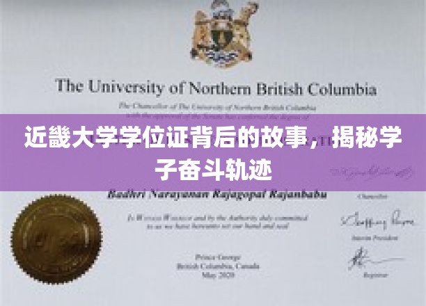探寻近畿学子足迹，学位证书背后的奋斗传奇