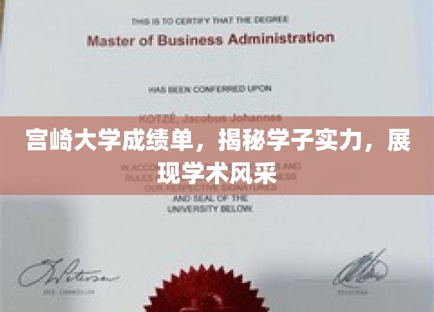 宫崎大学成绩单，揭示学子实力，彰显学术风采