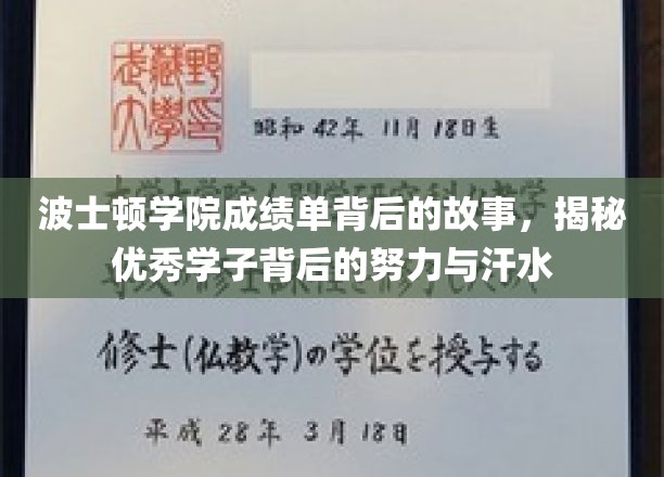 波士顿学院学霸养成记，揭秘优秀学子汗水铸就的卓越成绩单