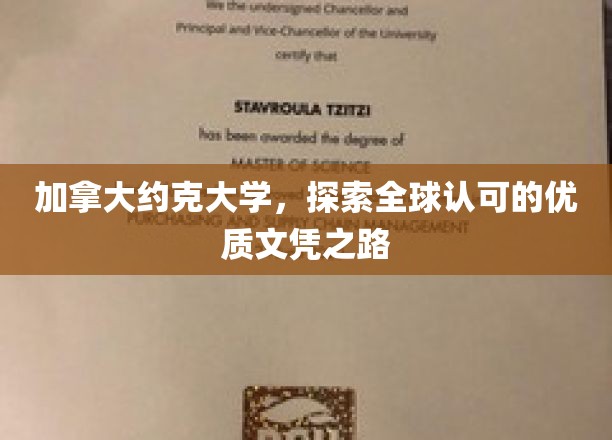 约克大学，迈向国际认可的卓越学历之旅