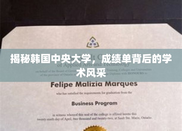 揭开韩国中央大学学术魅力的成绩单之谜