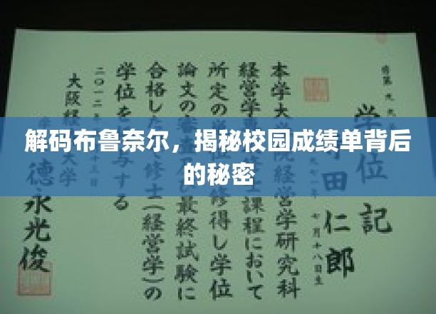 探索布鲁奈尔成绩单的神秘面纱
