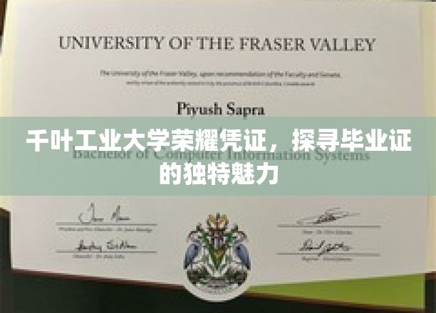 毕业荣耀见证，千叶工业大学证书背后的独特风采