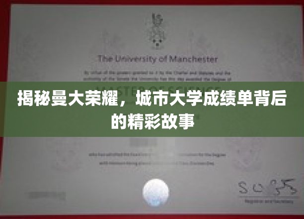 曼大荣耀再现，探秘城市大学成绩单背后的辉煌篇章