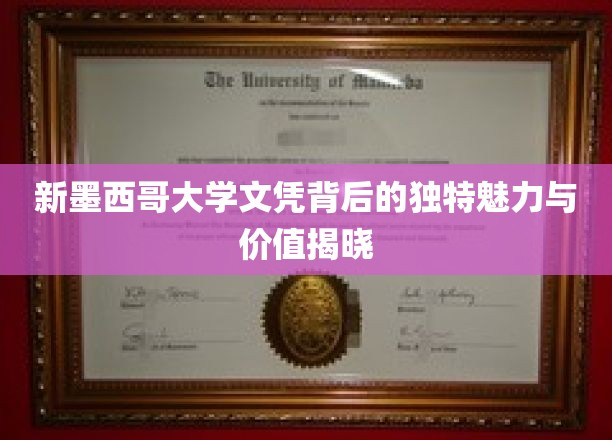 探寻新墨西哥大学文凭的独特光环与深远价值
