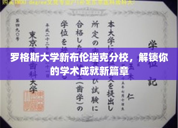 罗格斯大学新布伦瑞克分校，开启学术卓越的全新旅程