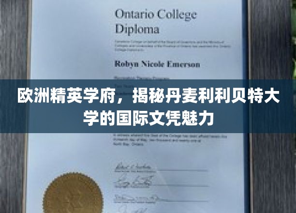 探索丹麦利利贝特大学，欧洲精英学府的国际文凭吸引力揭秘