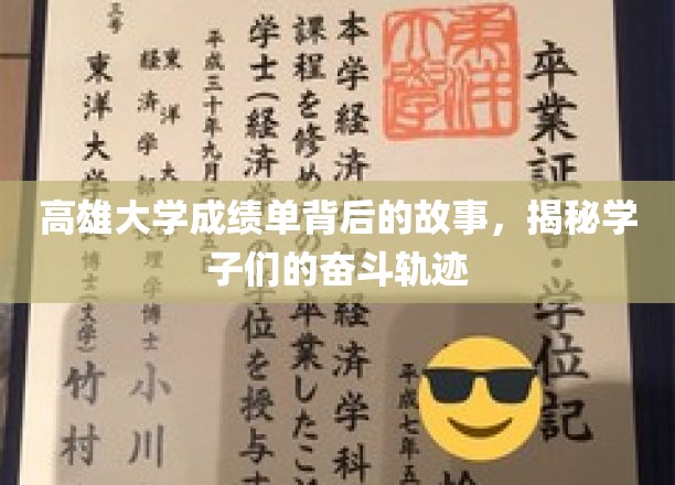 高雄大学成绩单背后的故事，揭秘学子们的奋斗轨迹
