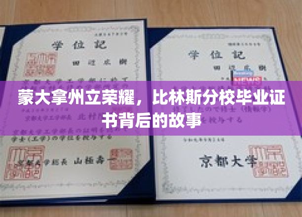 蒙大拿州立荣耀，比林斯分校毕业证书背后的故事