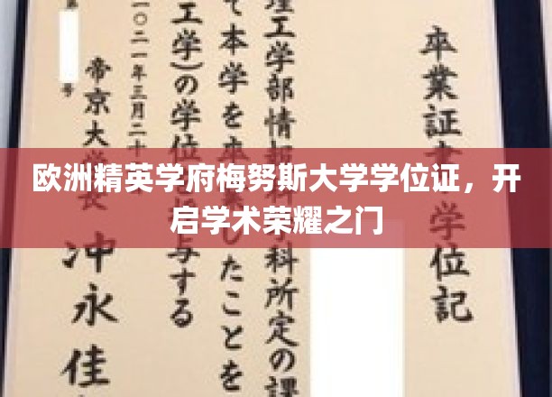 欧洲精英学府梅努斯大学学位证，开启学术荣耀之门