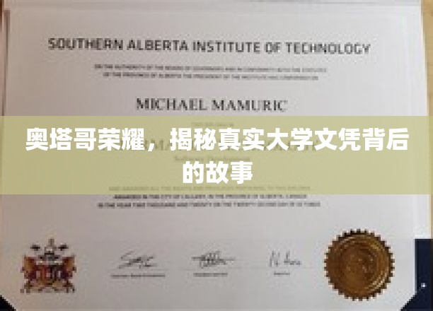 奥塔哥大学之谜，探寻文凭背后的传奇历程