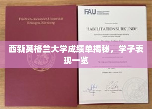 西新英格兰大学学子成绩大盘点，揭秘学术风采瞬间