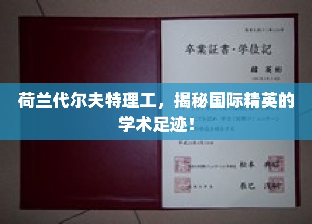 探秘荷兰代尔夫特理工，培养世界精英的学术殿堂之旅