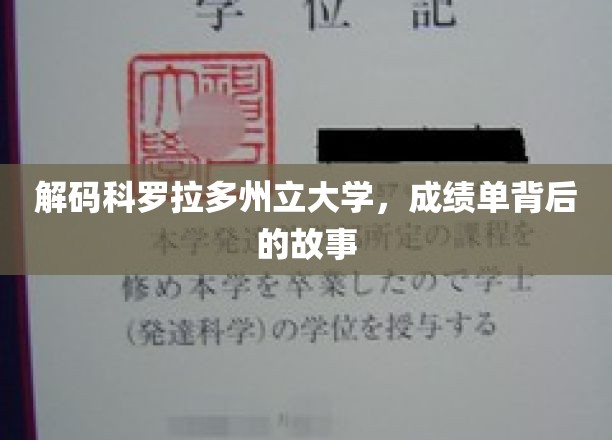 揭秘科罗拉多州立大学，成绩单背后的真实面貌