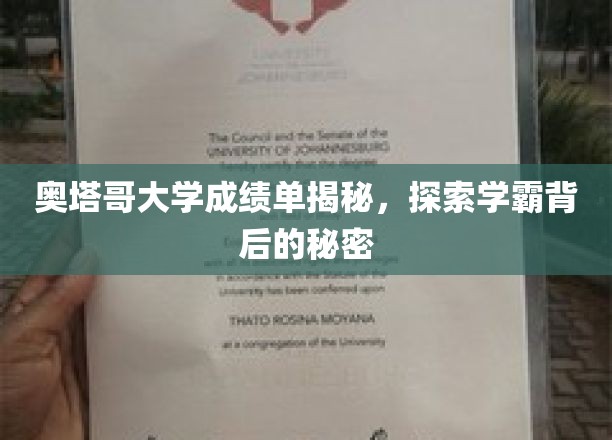 奥塔哥大学成绩单深度解析，探寻学霸背后的奥秘