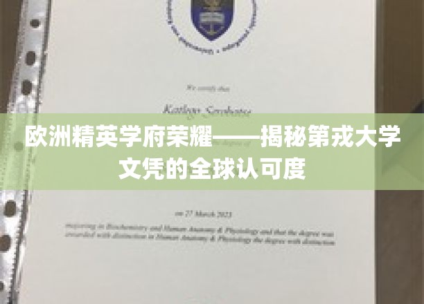 跨越国界的光辉证书，第戎大学文凭的国际魅力解析