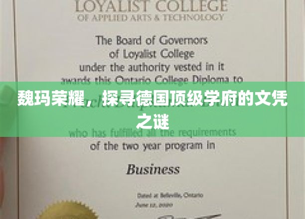 解码魏玛传奇，揭秘德国顶尖学府文凭背后的故事