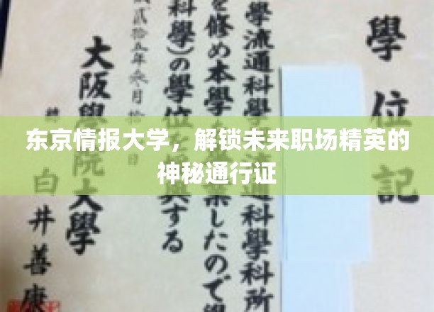 解码未来职场，东京情报大学精英养成秘籍