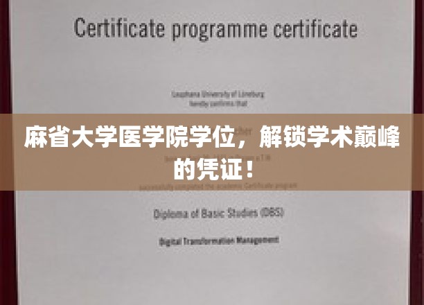 麻省大学医学院学位，开启学术巅峰之旅的钥匙！