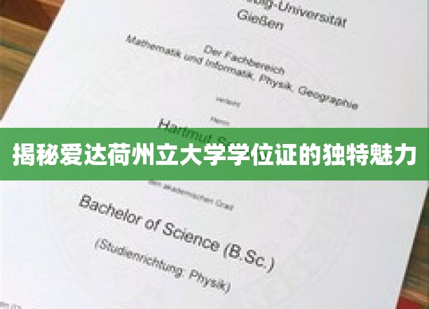 解码爱达荷州立大学学位证的非凡印记