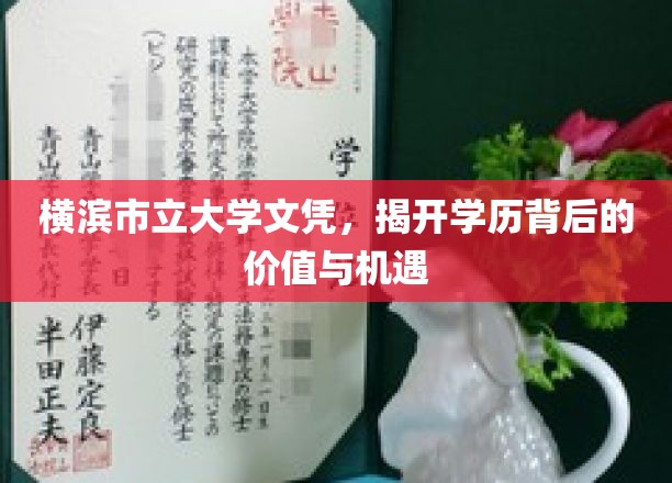横滨市立大学文凭，揭开学历背后的价值与机遇