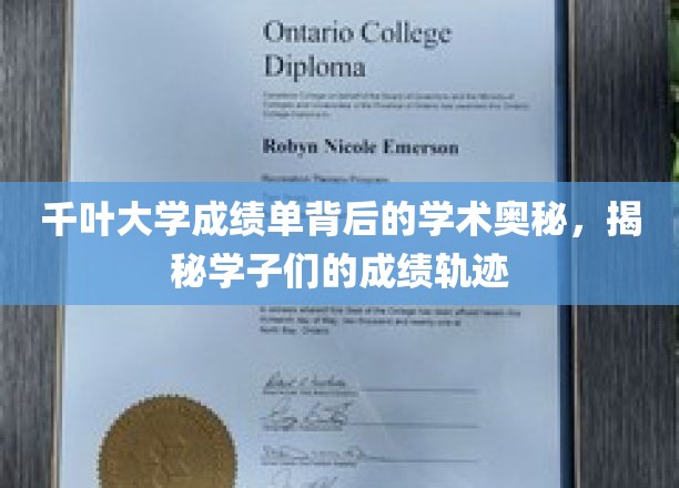 千叶大学成绩单解码，揭秘学子的学术成长之路