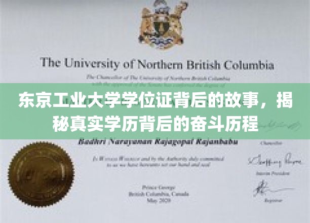 东京工业大学学位证背后的故事，揭秘真实学历背后的奋斗历程