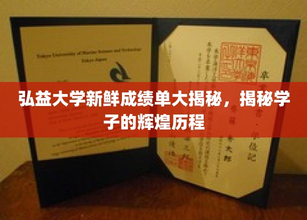 弘益学子风采大览，揭秘弘益大学新成绩单背后的奋斗足迹