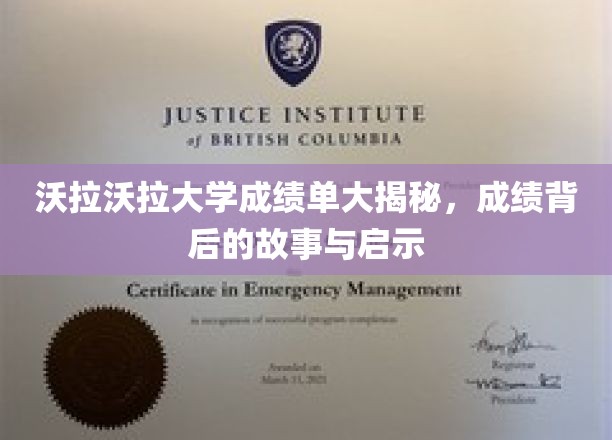 沃拉沃拉大学成绩单背后，探寻成长故事与智慧启迪