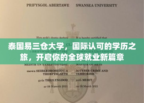 跨越国界，易三仓大学助你扬帆全球职场新航程