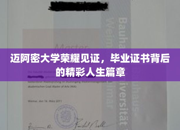 迈阿密荣耀绽放，毕业证书映照下的璀璨人生传奇