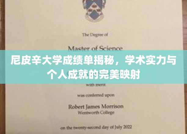 尼皮辛大学成绩单背后的秘密，实力与成就的双赢画卷