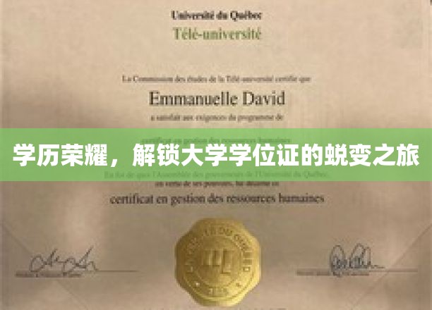 学位之旅，揭秘大学生活的荣耀蜕变