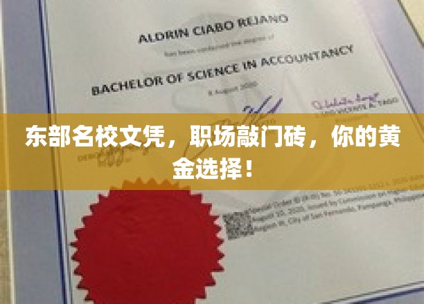 东大文凭，职场精英的启航钥匙，成就你的辉煌未来！