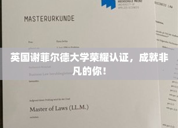 谢菲尔德大学荣耀加冕，成就非凡人生里程碑！