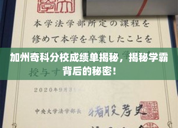 加州奇科分校学霸养成记，揭秘学霸们的独门秘籍！