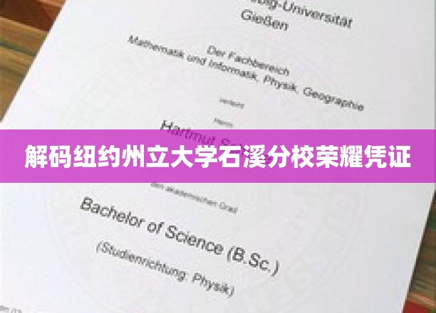 解码纽约州立大学石溪分校荣耀凭证