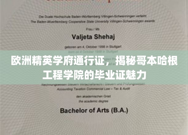 哥本哈根工程学院毕业证，开启欧洲精英学府的神秘钥匙