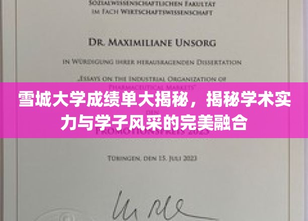 雪城大学学子风采揭秘，学术实力与成绩单背后的故事