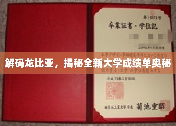 破译龙比亚之谜，探索大学成绩单的革新密码