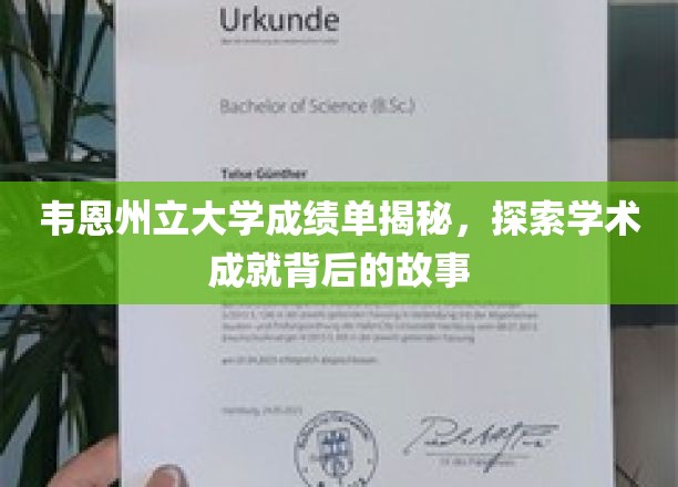 韦恩州立大学成绩单揭秘，探索学术成就背后的故事