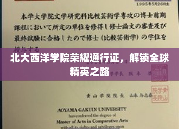 北大西洋学院通行证，开启全球精英梦想之旅