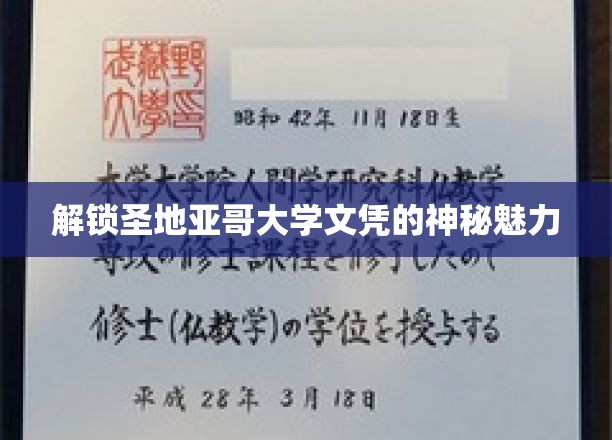 探寻圣地亚哥大学文凭背后的非凡价值